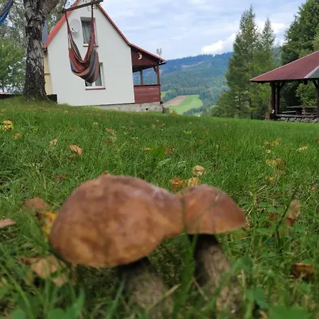 Domek Henrykowo Dom wakacyjny